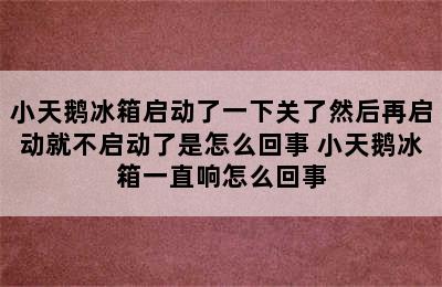 小天鹅冰箱启动了一下关了然后再启动就不启动了是怎么回事 小天鹅冰箱一直响怎么回事